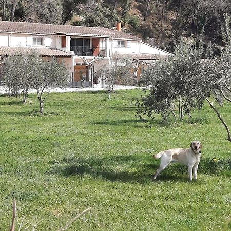 Le Mas Des Oliviers Vila Puget Exterior foto