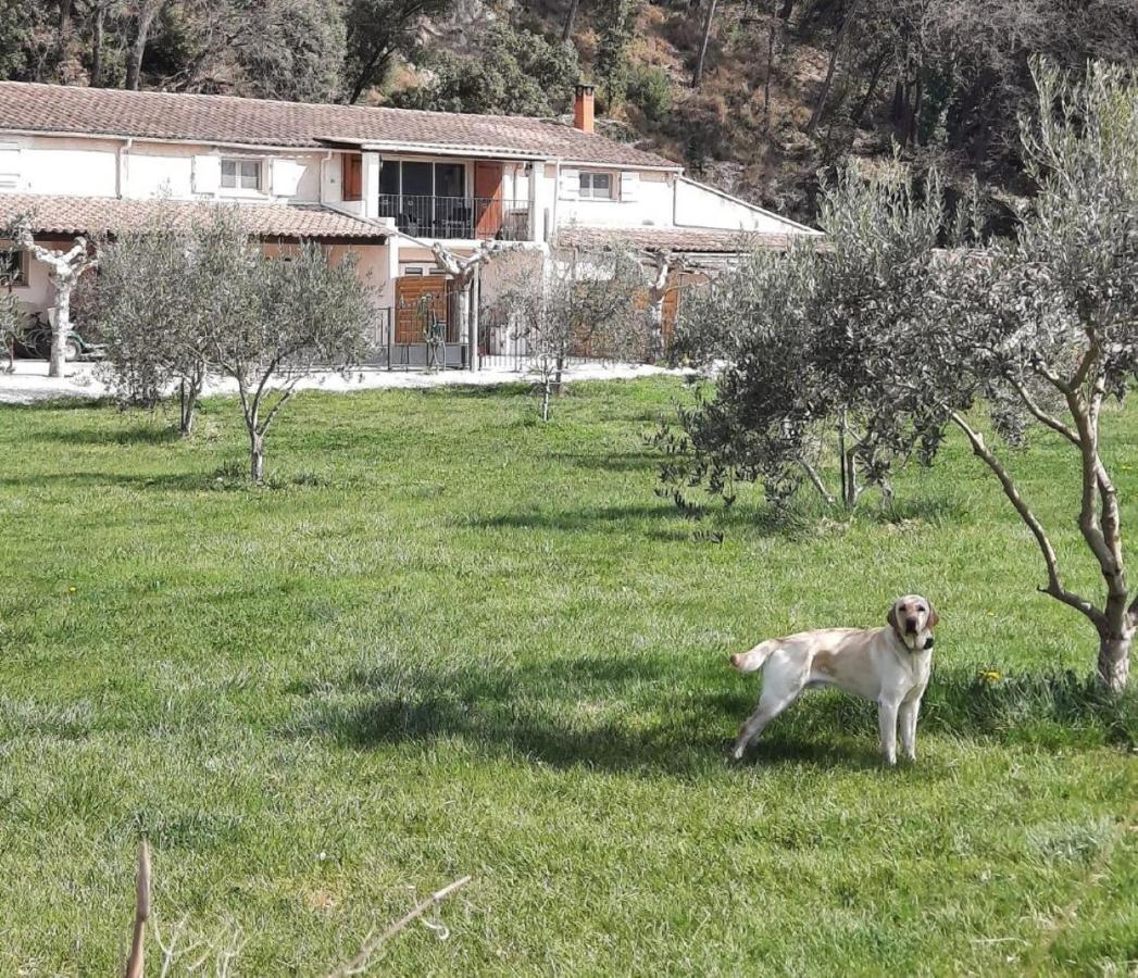 Le Mas Des Oliviers Vila Puget Exterior foto