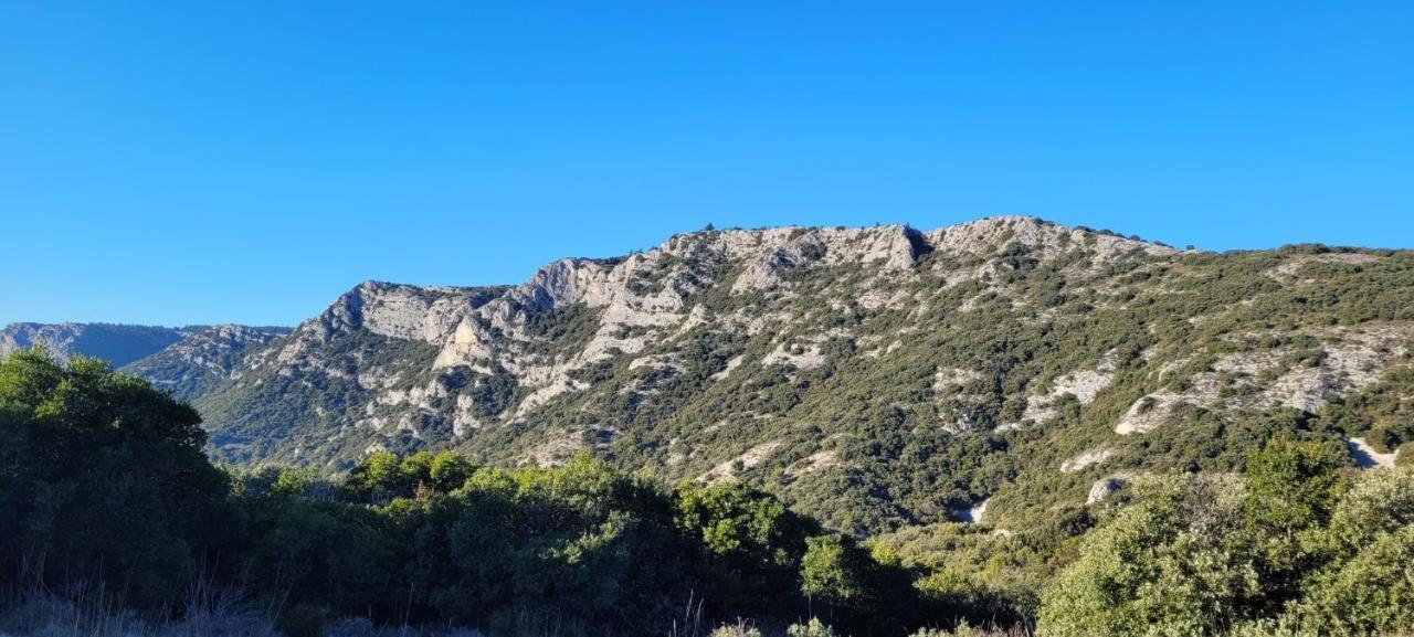 Le Mas Des Oliviers Vila Puget Exterior foto